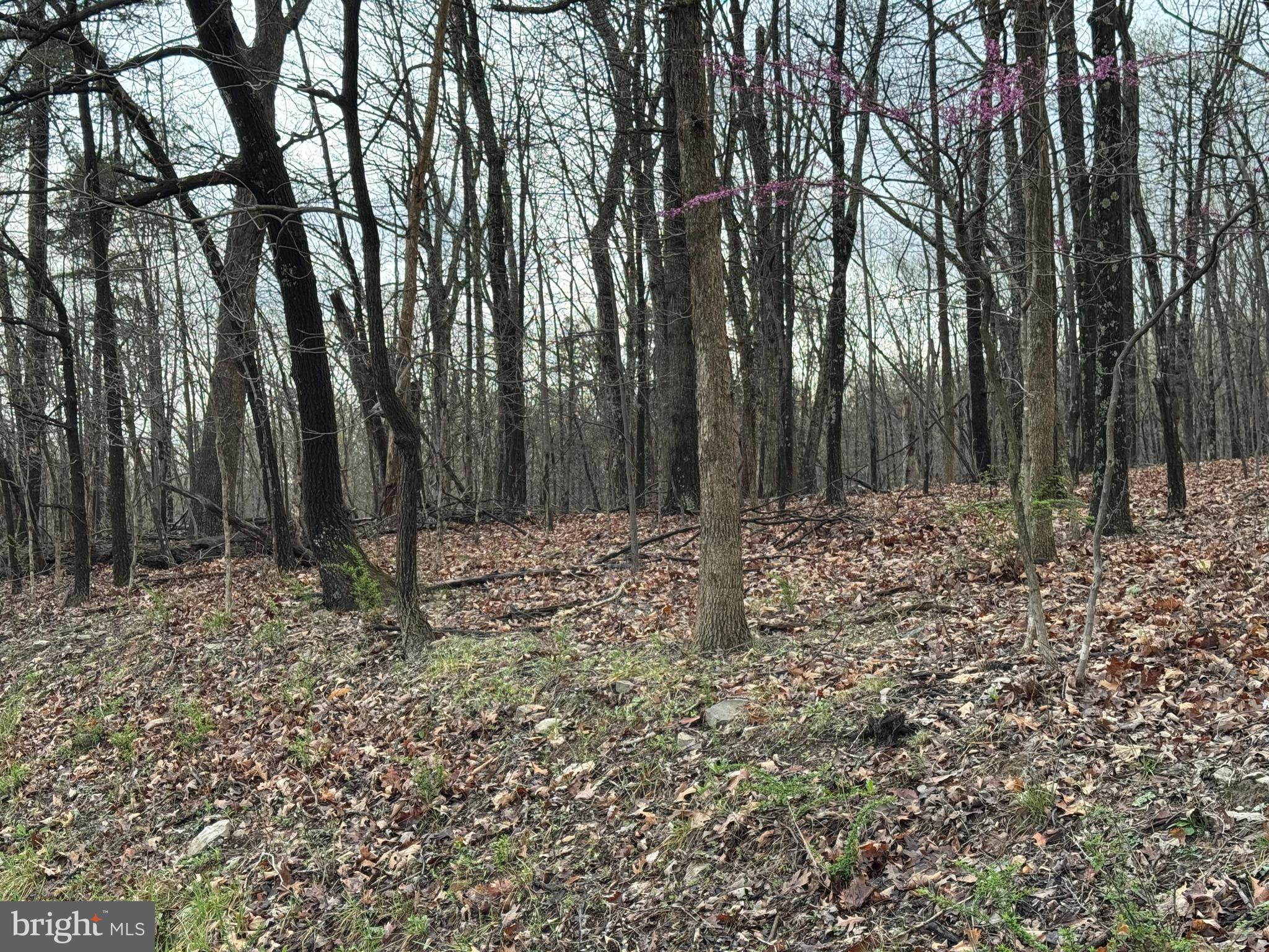 Lot 13 SAWMILL DRIVE