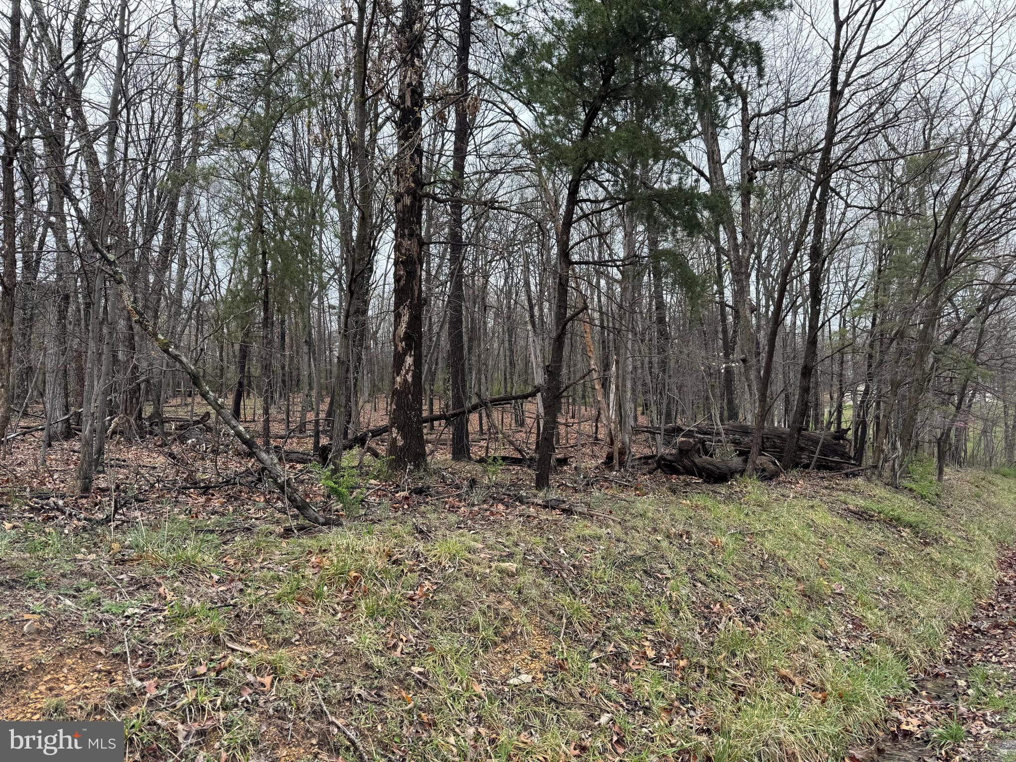 Lot 13 SAWMILL DRIVE