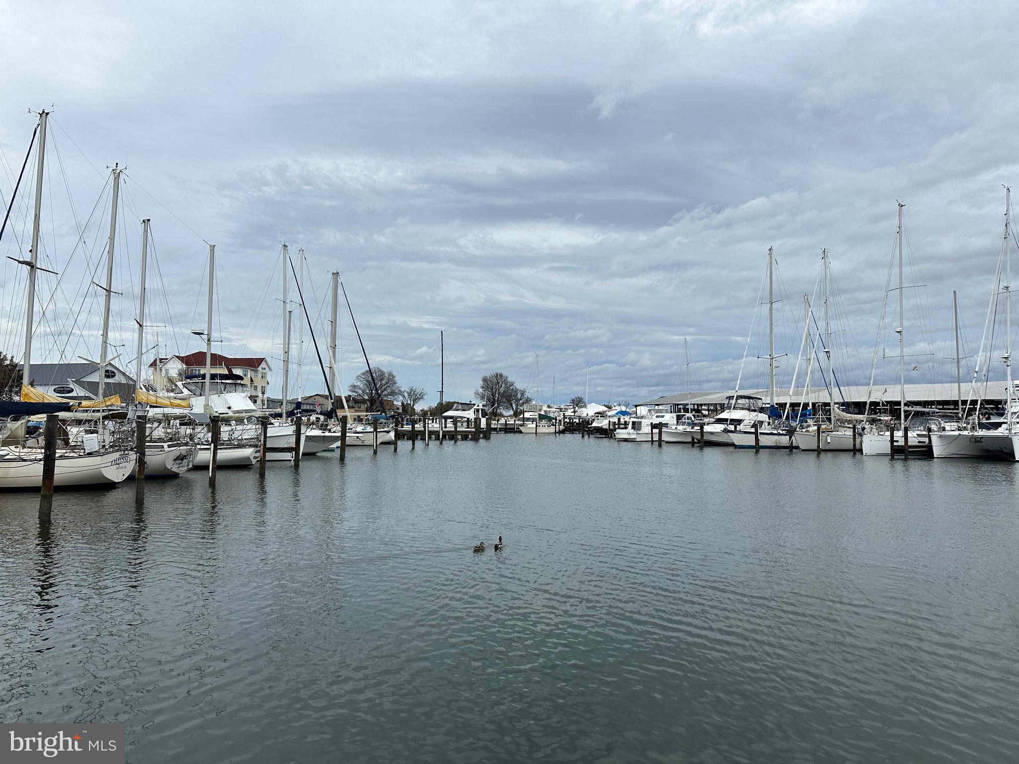 PINEY NARROWS - Residential
