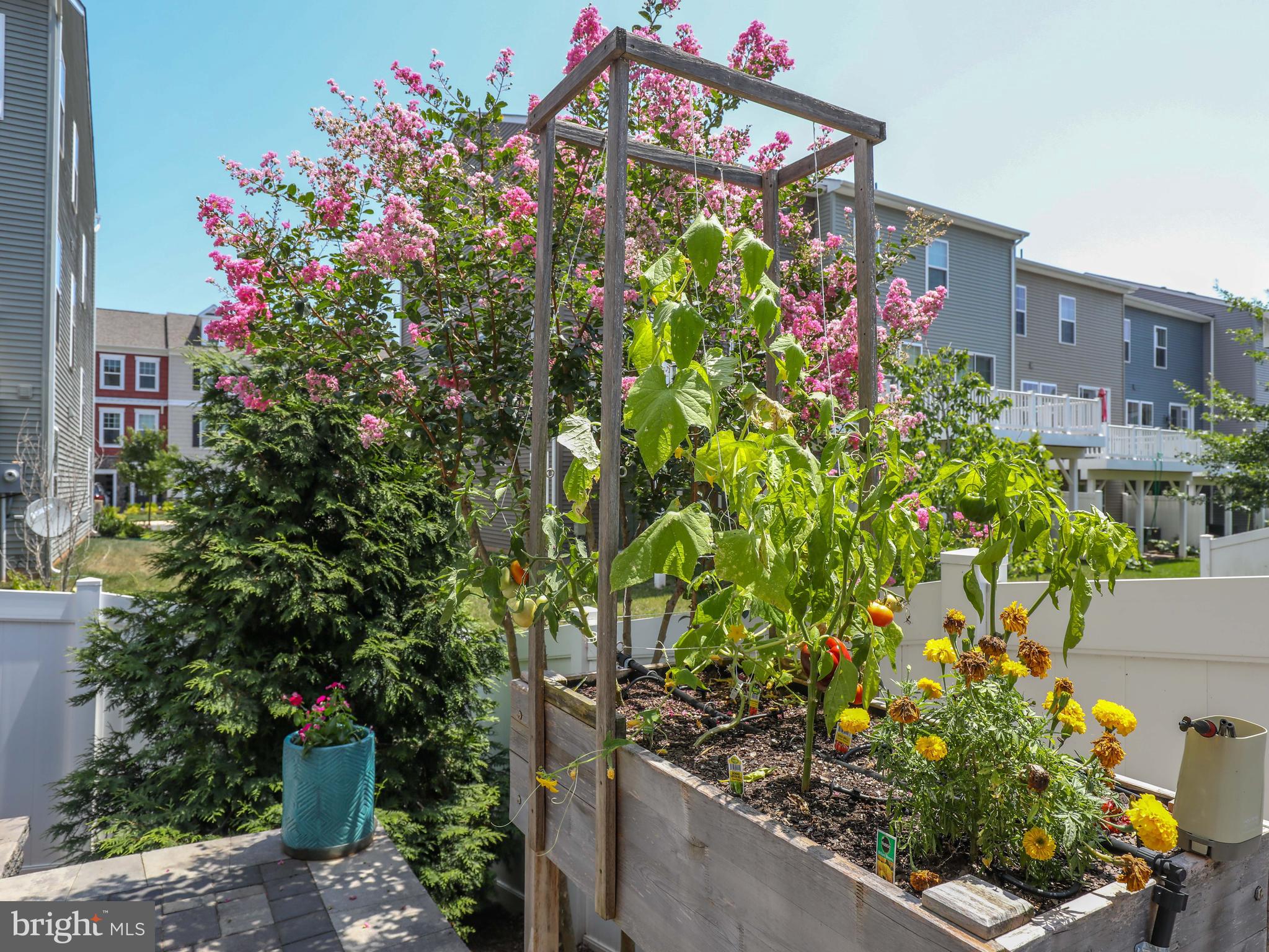 BRADLEY SQUARE - Residential