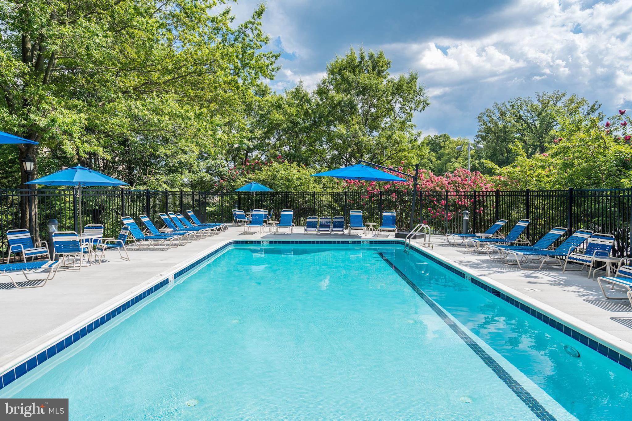 THE WILLIAMSBURG - Residential Lease