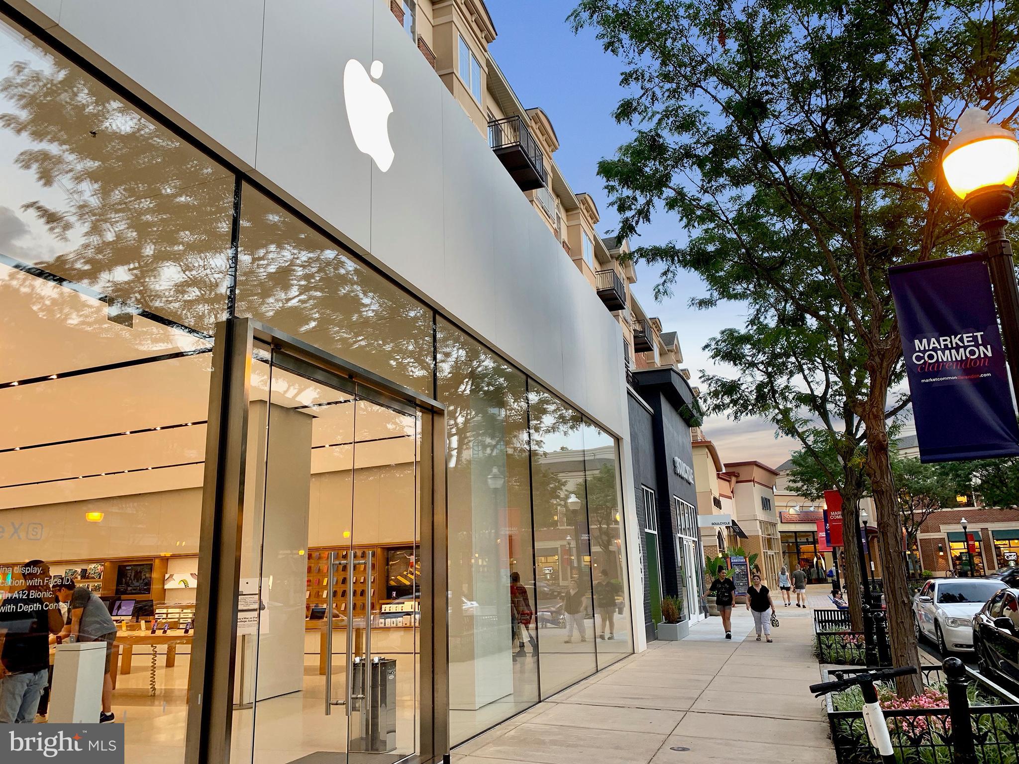 THE WILLIAMSBURG - Residential Lease