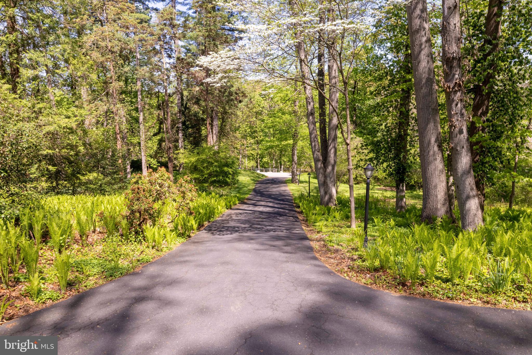 LAFAYETTE HILL - Residential