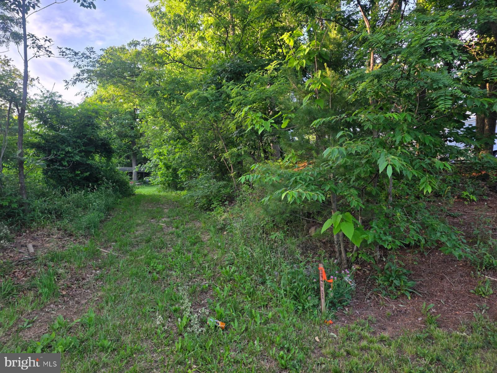 13111 MENTZER GAP ROAD