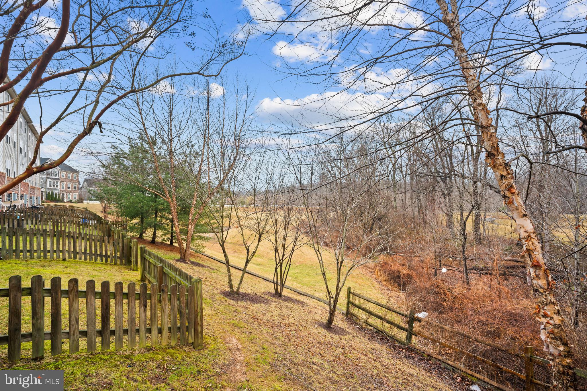 CLARKSBURG VILLAGE - Residential