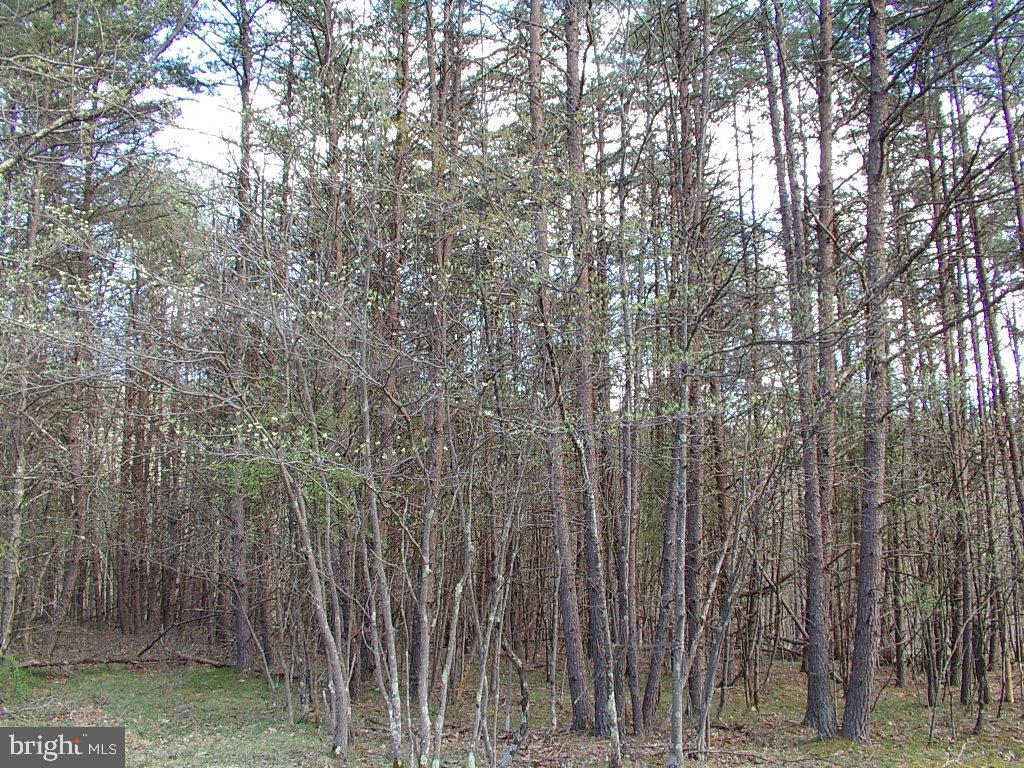 MISTY MEADOWS - Residential