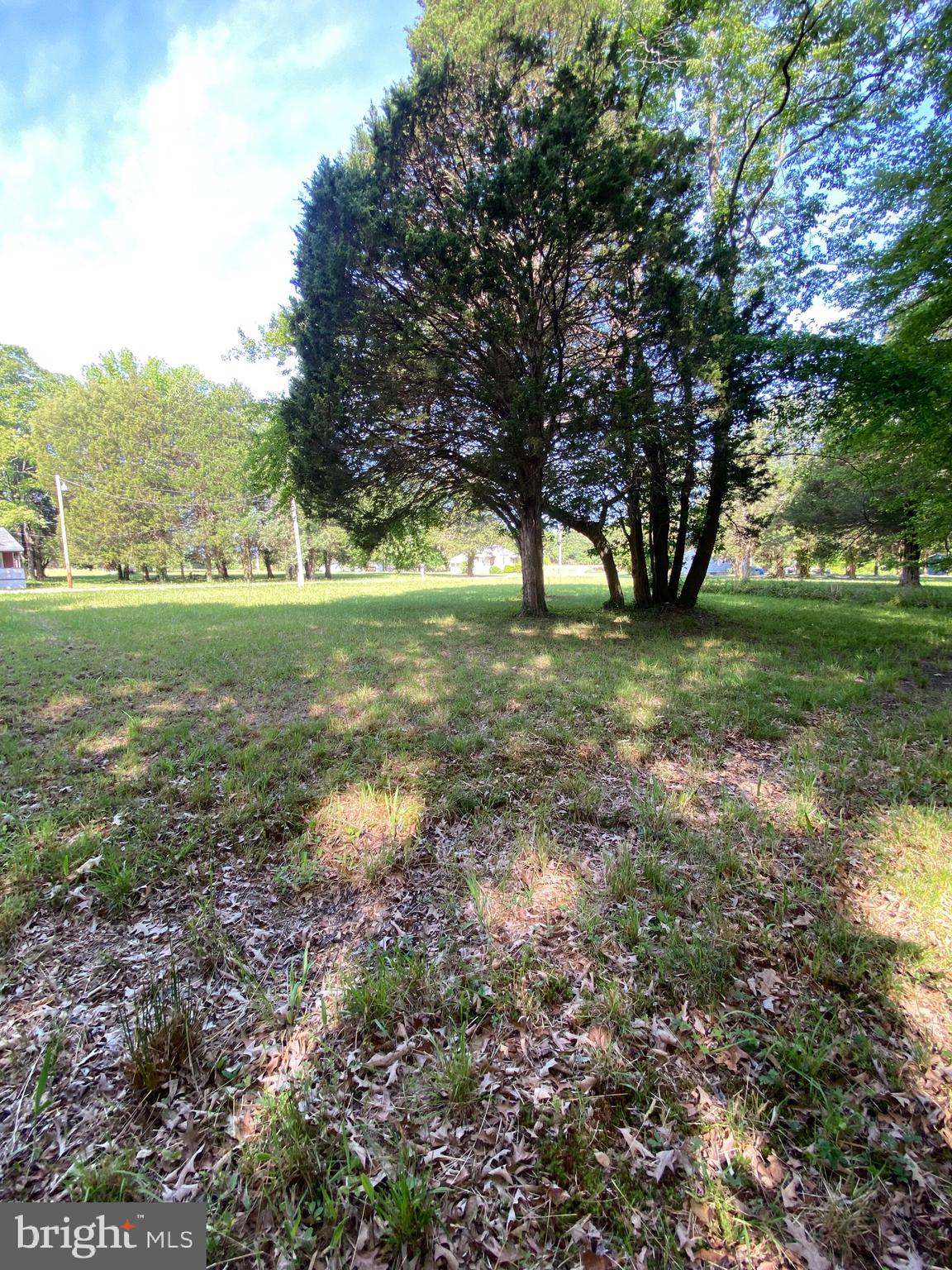 LONGVIEW BEACH - Land