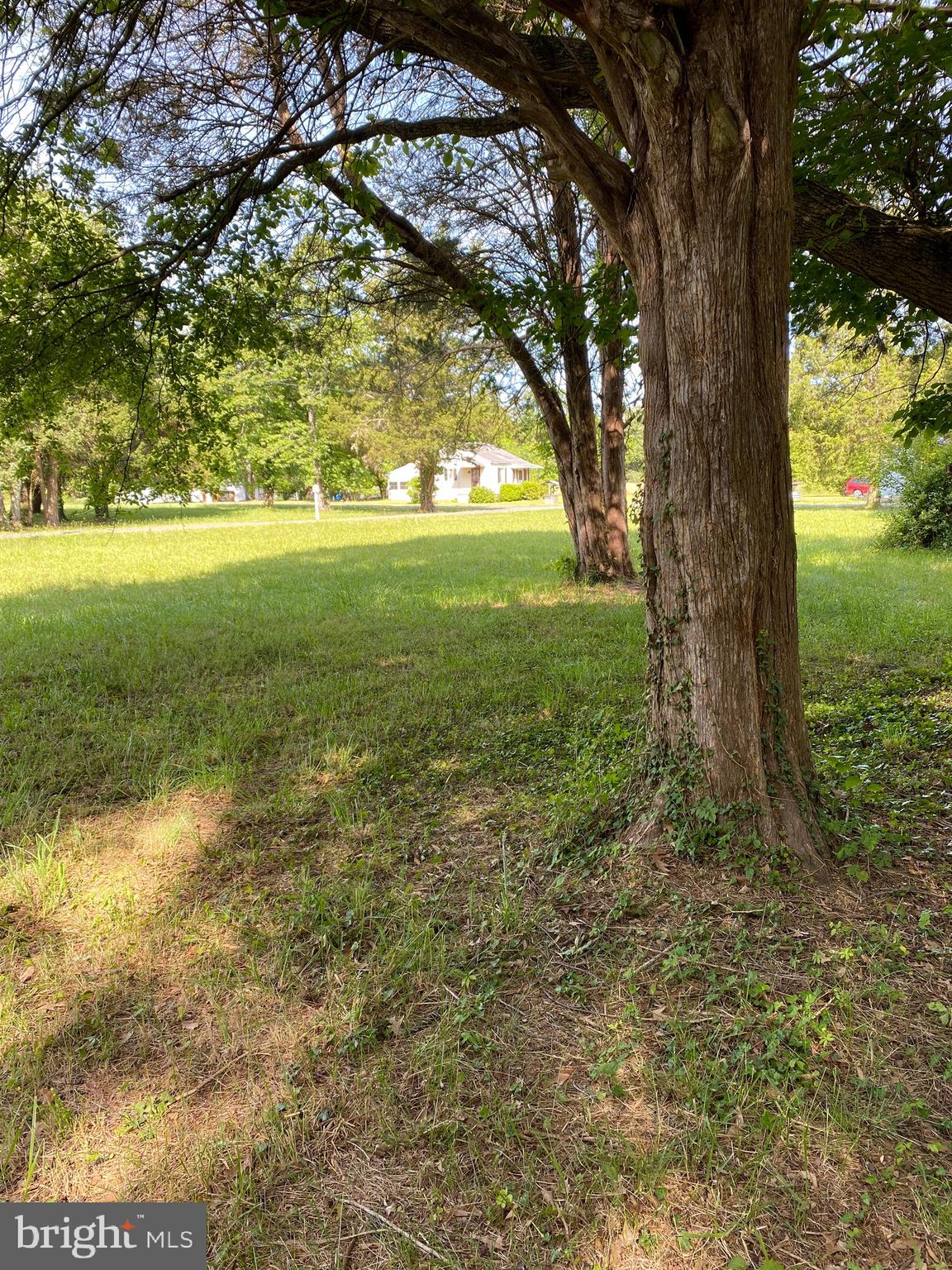 LONGVIEW BEACH - Land