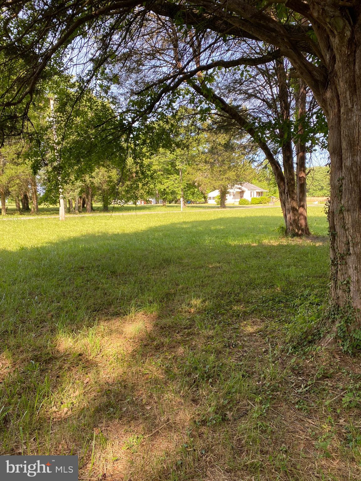 LONGVIEW BEACH - Land