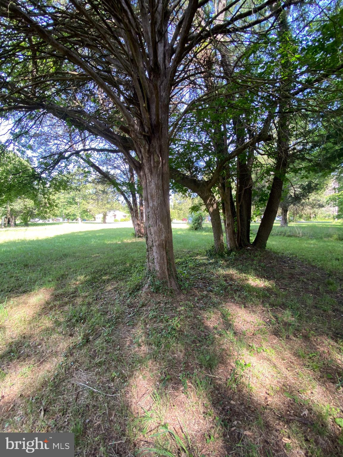 LONGVIEW BEACH - Land