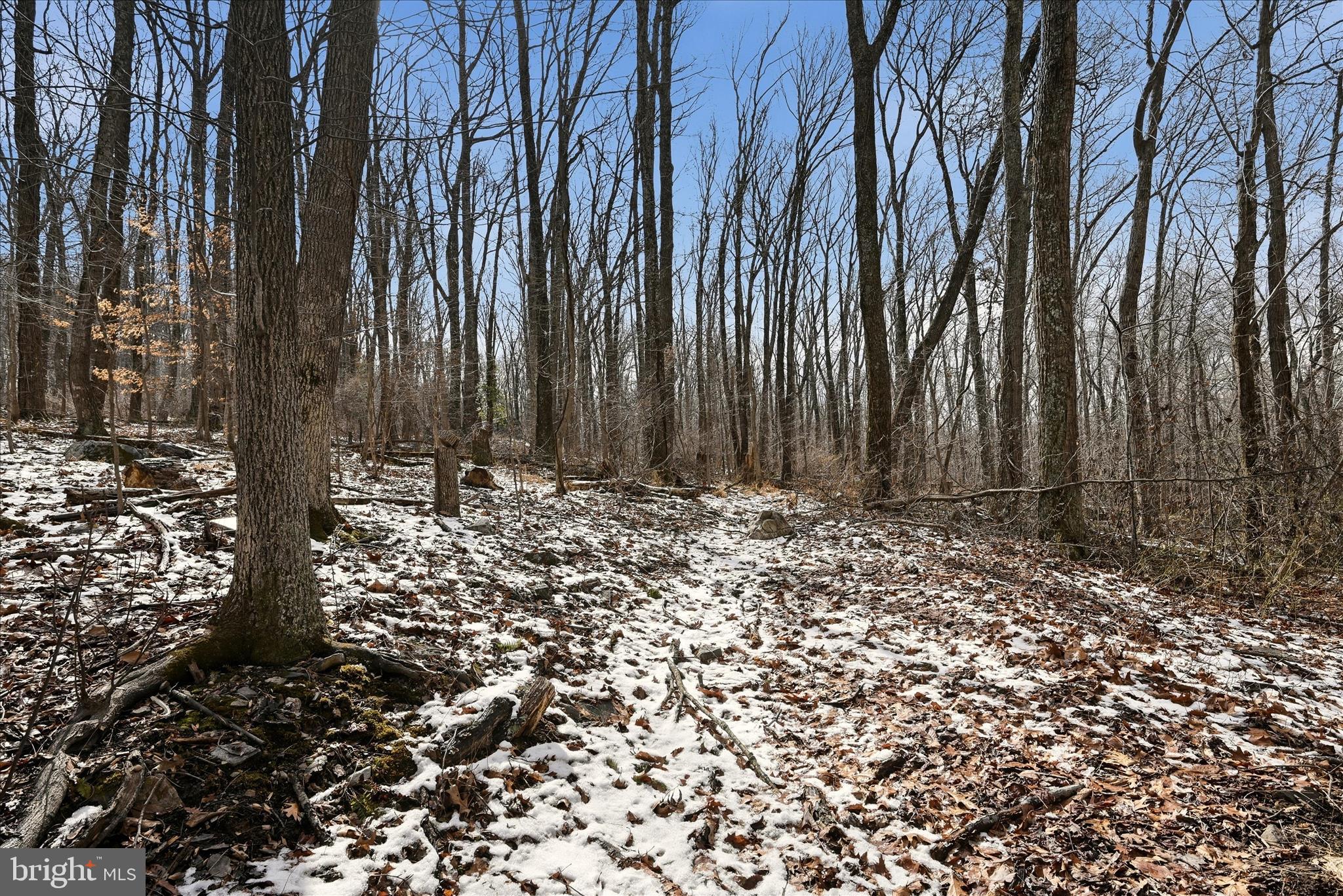 WEST RIDGE HILLS - Land