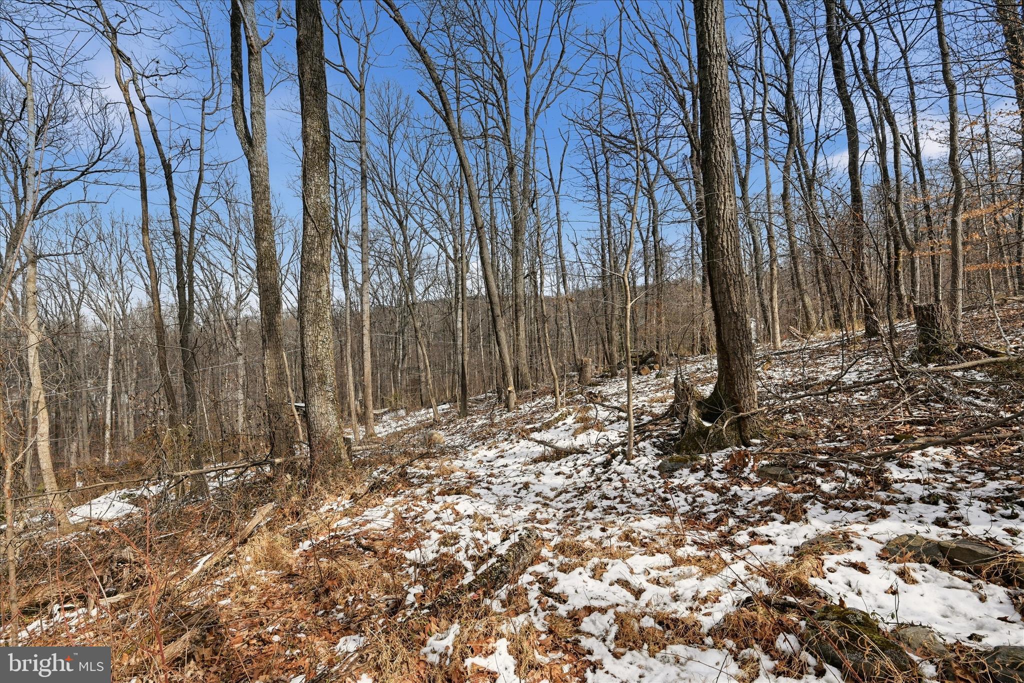 WEST RIDGE HILLS - Land