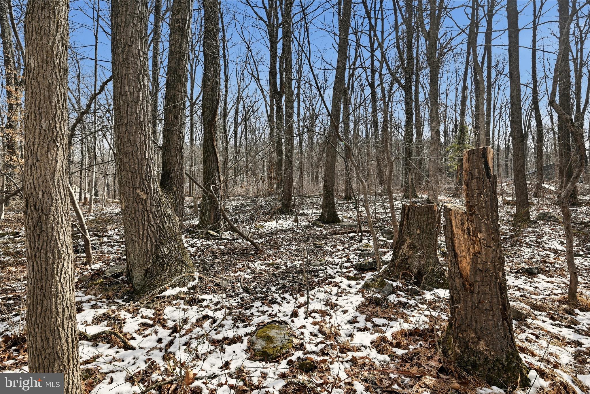 WEST RIDGE HILLS - Land