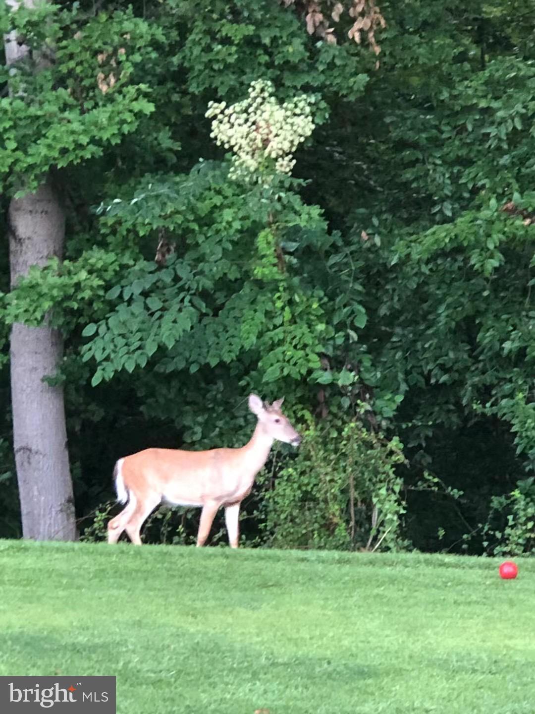 HERITAGE HARBOUR - Residential