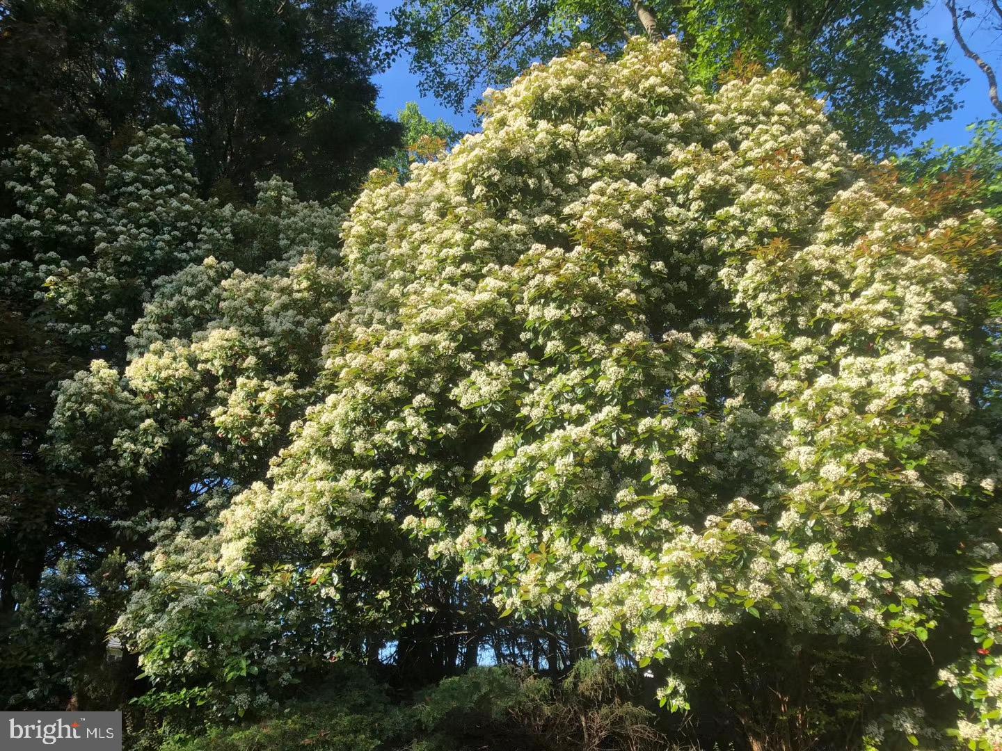HERITAGE HARBOUR - Residential