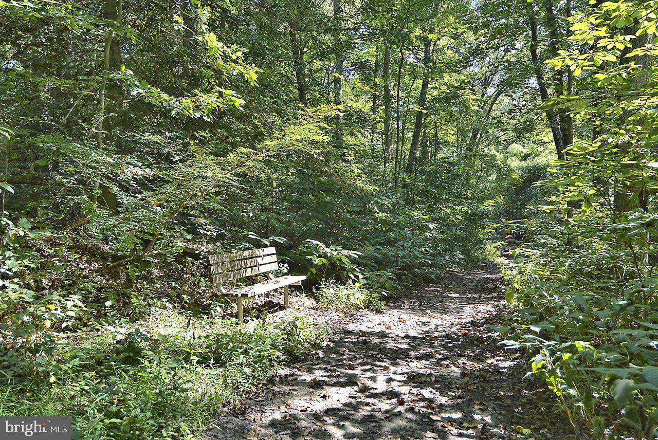 RIVA TRACE - Residential