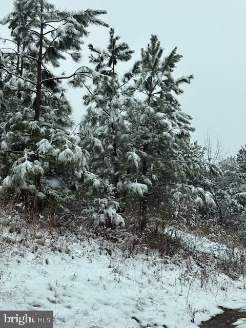 Vacant Land For Sale - 5 Th<br/> WAYNESBORO, VA 22980