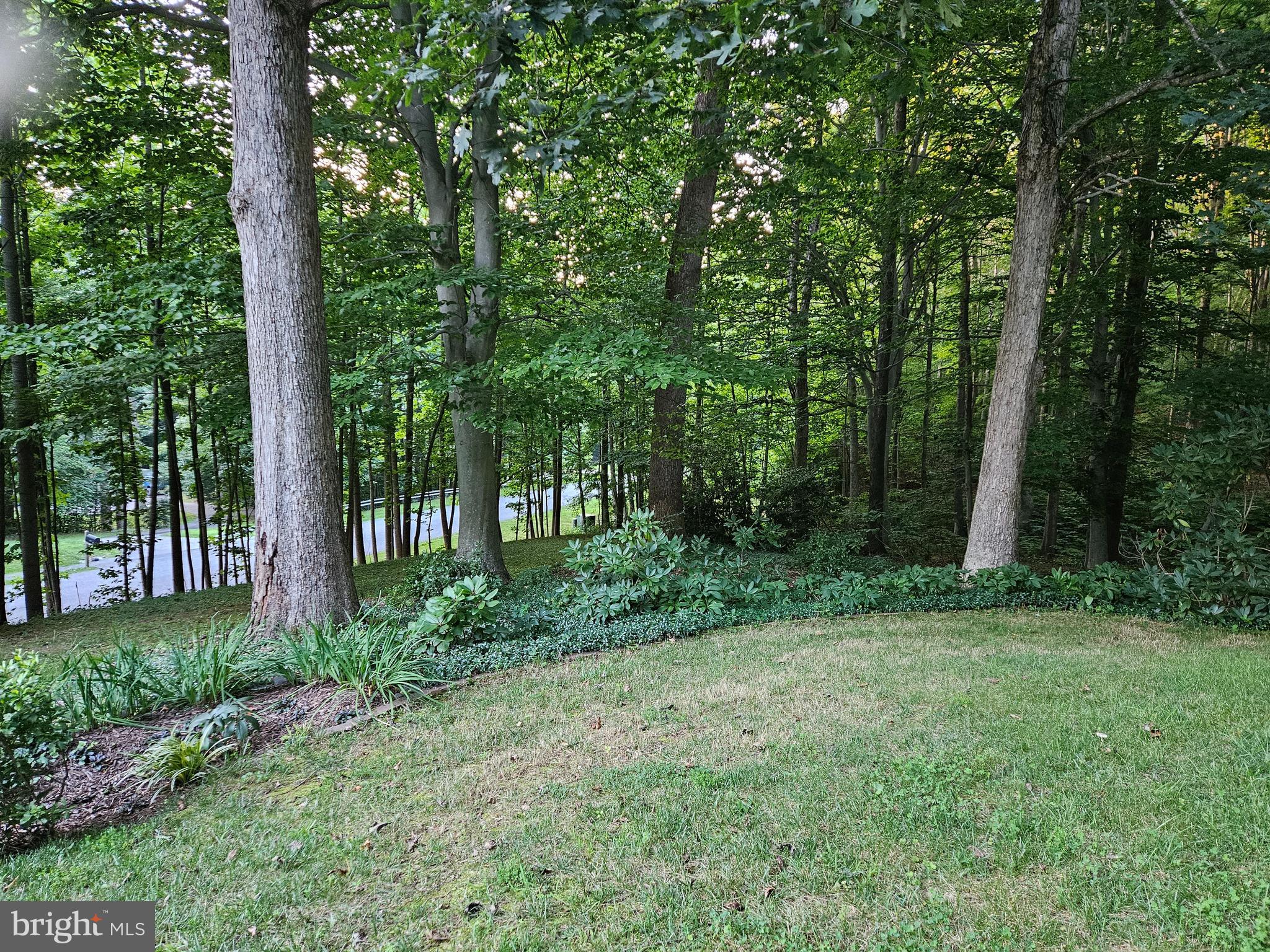 PLUM POINT WOODS - Residential