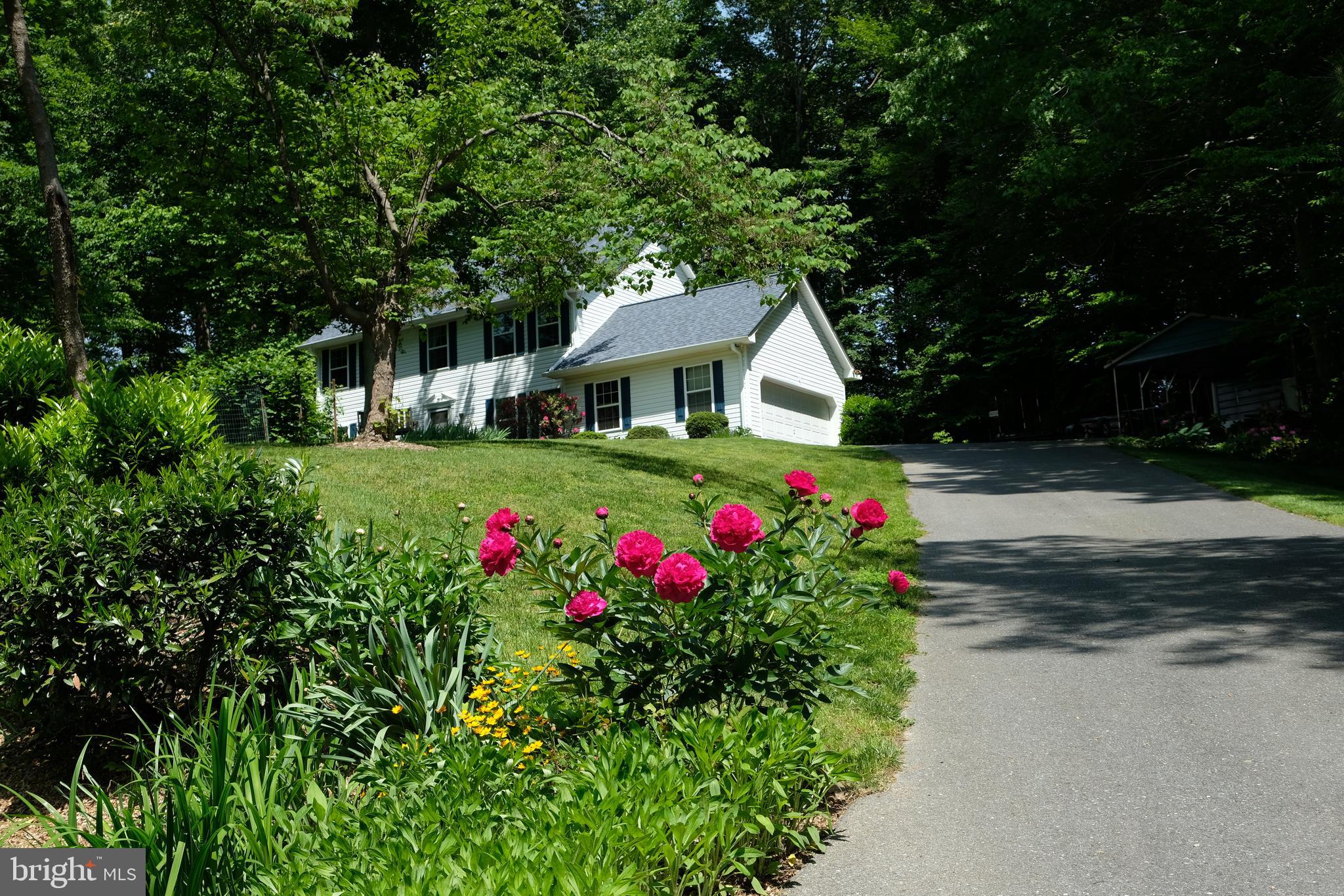 PLUM POINT WOODS - Residential