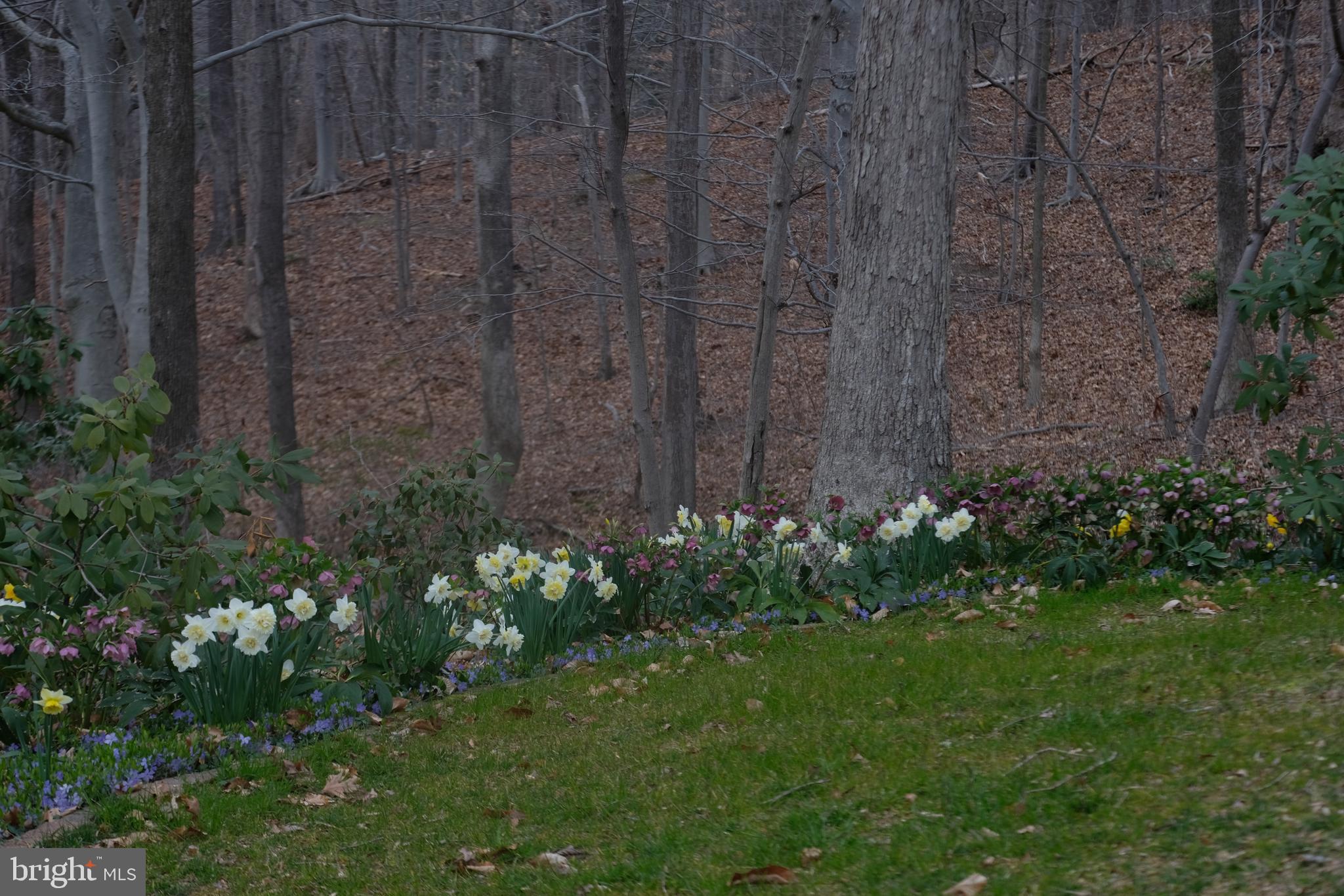 PLUM POINT WOODS - Residential