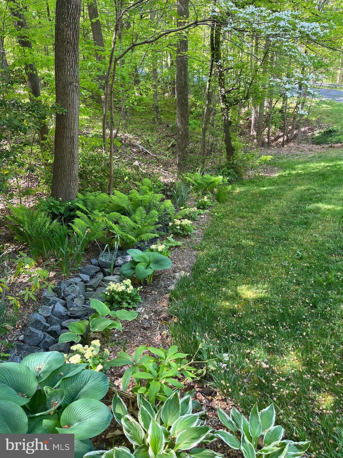 PLUM POINT WOODS - Residential