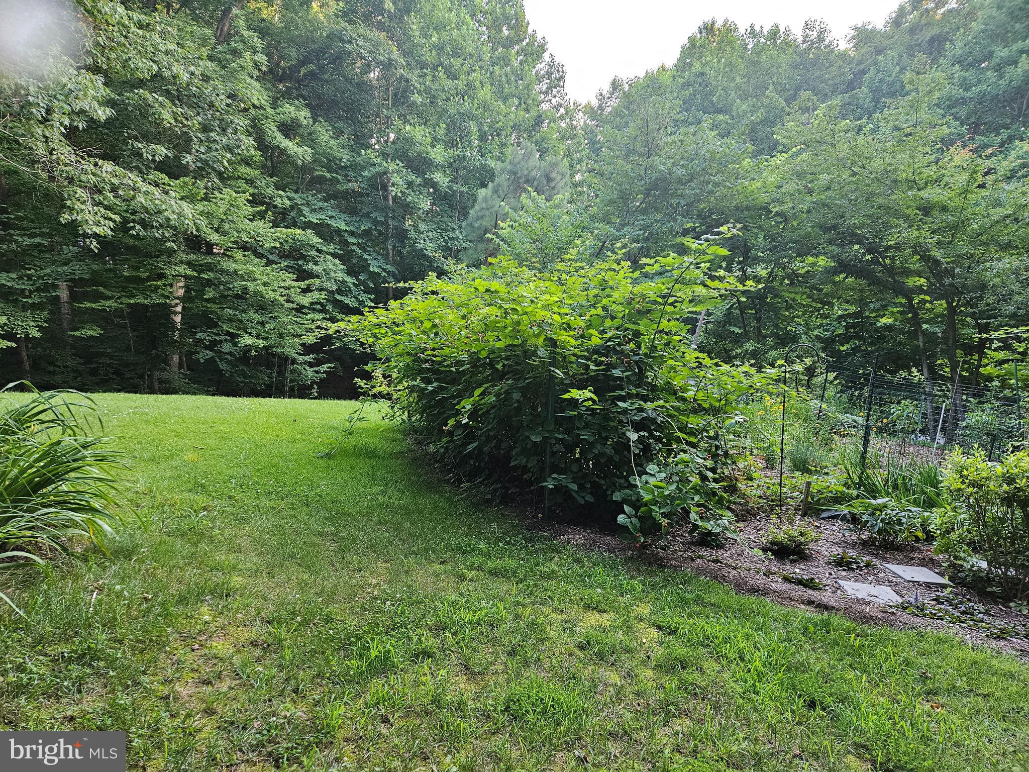 PLUM POINT WOODS - Residential