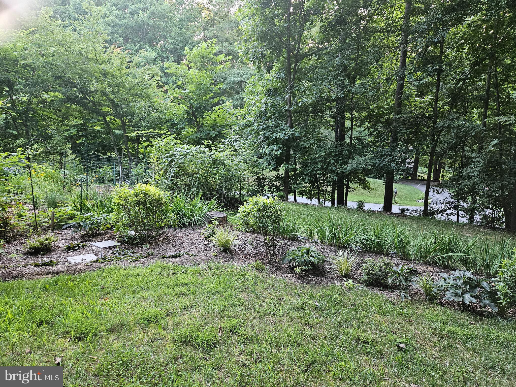 PLUM POINT WOODS - Residential