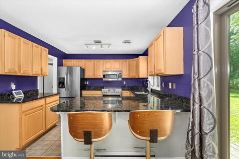 201 BIRCH RUN ROAD CHESTERTOWN MD 21620