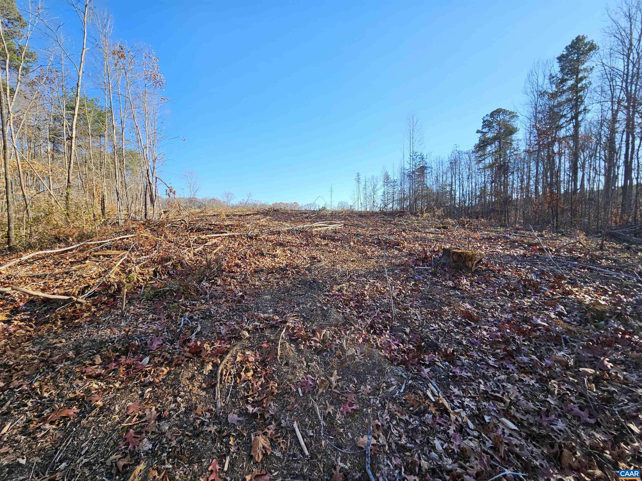 Looking for a Great Hunting Recreation Tract with Mountain Views ? Here it is ... Freshly cutover ready for clearing , replanting or let nature do its thing. Bring the ATV's and your RV and make this a great Get Away Property ! Off the main road accessed by solid private road prescriptive right of way. Possible Owner Financing.