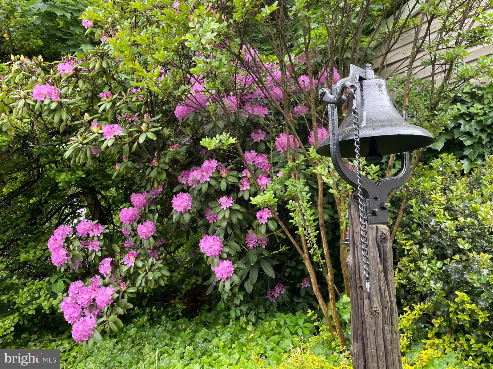 YORKTOWN CROSSING - Residential