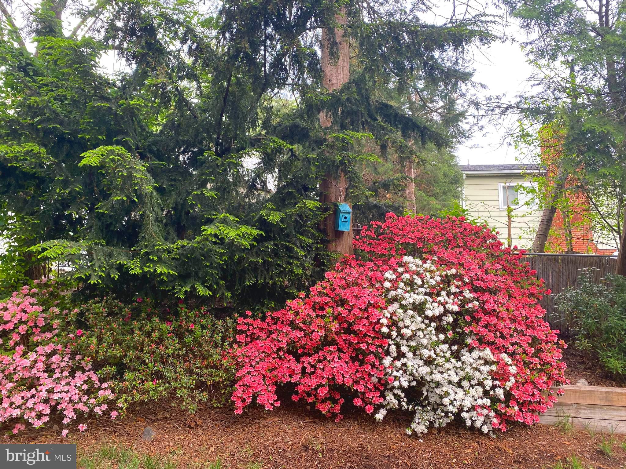 PARKVIEW - Residential