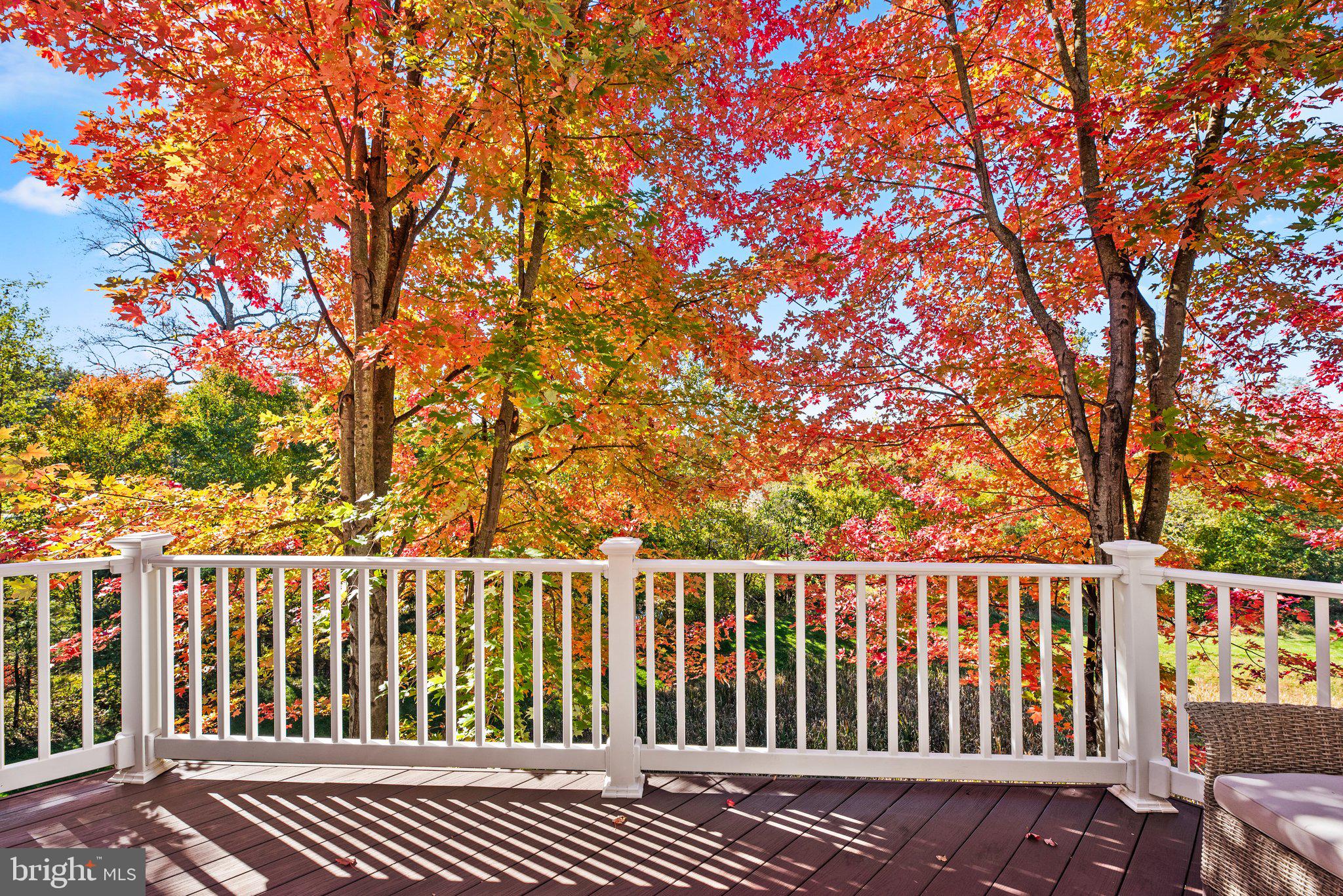 DORSEY CROSSING - Residential