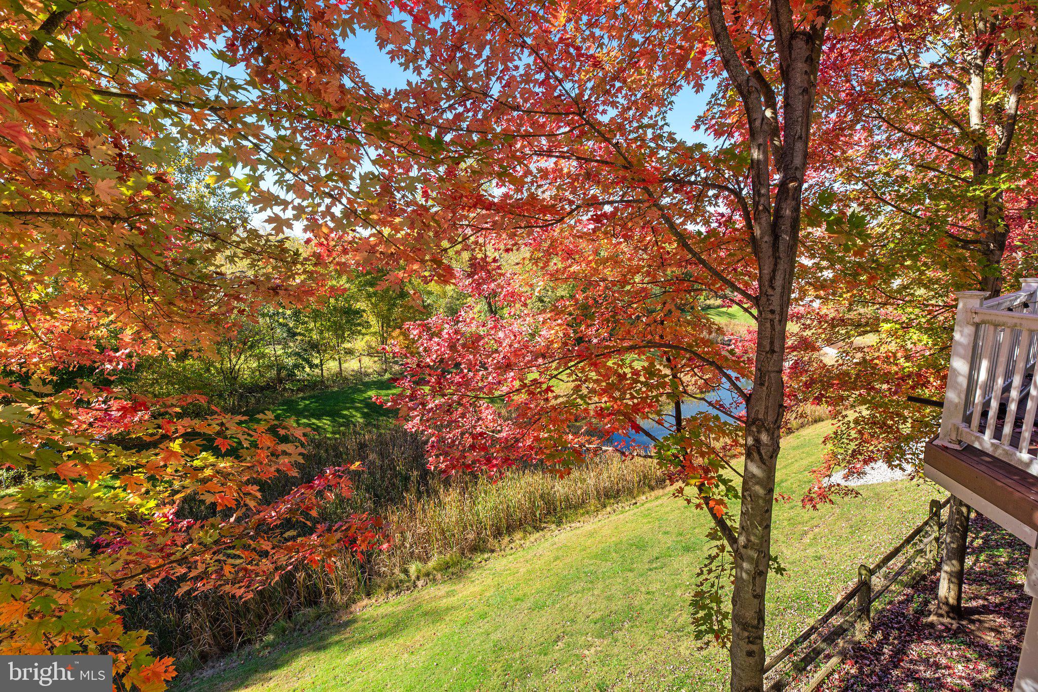 DORSEY CROSSING - Residential