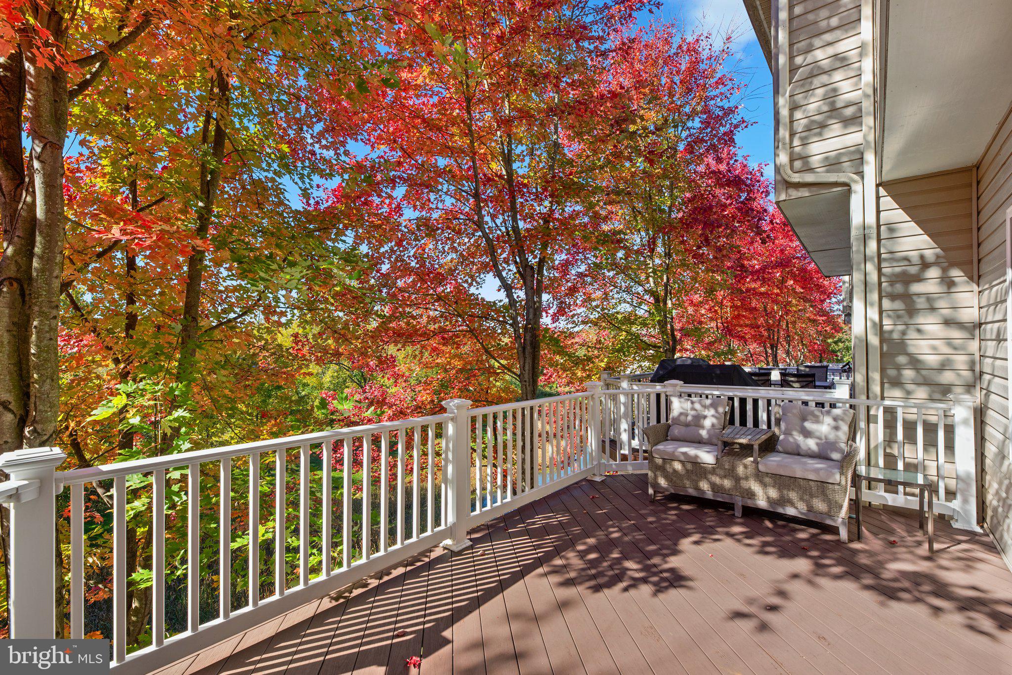 DORSEY CROSSING - Residential