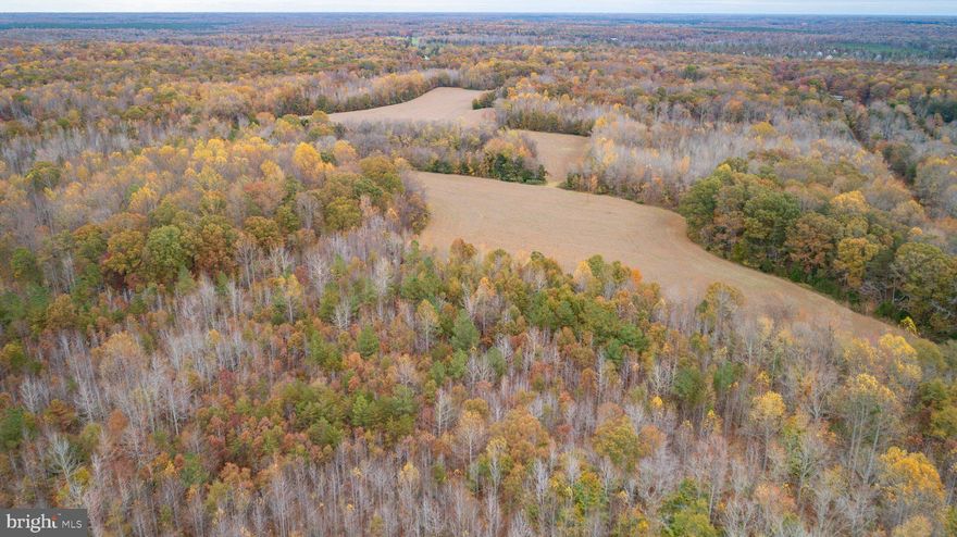 ***AUCTION*** List price is STARTING BID only.  Price TBD thru Online Only Bidding.  Bidding closes on April 8, 2025 at 6: 00 pm (EST). 

Rare Opportunity to purchase a Spotsylvania County estate building lot.  BID ONLINE NOW & secure a location for Your Dream Home!!

Please bid early and often & understand that the online only bidding begins to close on Tuesday, April 8, 2025 @ 6:00 PM (Eastern).

Property Tour:  Please preview at your leisure & contact showing contact.

Need a Mortgage?....Just click on one of the lenders in the "Financing" menu above

 15.12 +/- acre Spotsylvania County estate lot
This lot has a conventional perk site.
Lot is eligible for family division
Lot has potential for annual divisions 
There is a total of 6 building lots in this offering.  The lots are offered individually, and will not close until there is no bidding for 3 minutes on any of the parcels.
Conveniently located 10.5 miles to Rt. 1/Thornburg, 11 miles to I-95 @ Thornburg, 8 miles to Lake Anna, 19 miles to Fredericksburg, and a short drive to Richmond & Northern Virginia!!
Tax Map:  73-A-15B; Zoning:  A3; Property is currently in "Land Use" (roll back taxes would be due if taken out of Land Use); $10,000 deposit (wired funds or certified check ONLY) is due immediately after confirmation of final bid and the balance due at closing within 45 days;  WE GUARANTEE A FREE & CLEAR DEED
Only $75,000 Starting Bid!!


FOR REALTORS:  if you are currently working with a licensed real estate salesperson and want them to represent you, please have them CLICK HERE and complete their bidder registration form.  In order for the real estate salesperson to be compensated, the registration form must be completed and submitted no later than 6 am on the day of the auction (4/8/25), and all terms adhered to.  NOTE:  Please contact showing contact  to discuss a higher  rate with a pre-approved starting bid!!

Terms and Conditions
TERMS:  Thank you for your interest in this property. Contact  showing contact for additional information.

This online auction is not contingent on or subject to financing, appraisal, survey (property lines), study period or inspections of any kind, as agreed to by bidders at registration prior to bidding, and specified in the Offer to Purchase and Contract. Property is sold in as-is condition with no warranties or guarantees of any kind.

Per the contract, “TIME IS OF THE ESSENCE,” and you should proceed to closing immediately. You must close the transaction on or before 45 days from auction date.  If your closing is delayed for any reason, by you, as purchaser, or other parties working on your behalf, including any lender you involve – you may be declared in breach of the contract, forfeit all deposits made, and could be additionally liable for any and all court costs, any price difference in a subsequent resale of the property, and all future auction costs incurred by the seller and Nicholls Auction Marketing Group, Inc.

Bid with confidence, but please do not delay your closing!

Terms & Conditions

Contract for Sale of Real Property: This property is offered under the specific terms provided in the contract. The Contract for Sale of Real Property is available at auction website  in the property information packet package located from within the “DOCUMENTS” section. Please read and review the contract thoroughly prior to bidding on any property. If you have not read and reviewed the Contract for Sale of Real Property, Do Not Bid!

Nicholls Auction Marketing Group, Inc. has the sole authority to resolve any bidding disputes as they may arise.

Bidder Verification: The identity of all bidders will be verified, bidding rights are provisional, and if complete verification is not possible, Nicholls Auction Marketing Group, Inc. will reject the registration, and bidding activity will be terminated.

Online Terms: A $10,000 earnest money deposit will be required from the successful purchaser on each lot.