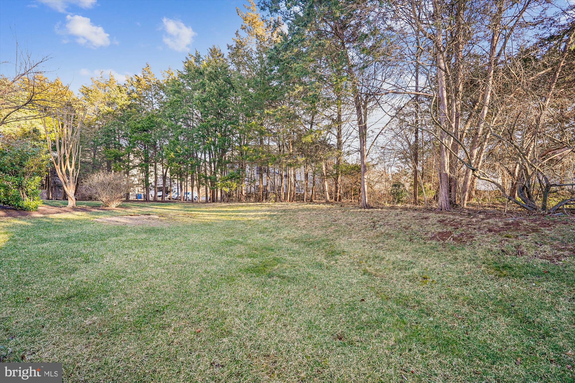 ASHBURN VILLAGE - Residential