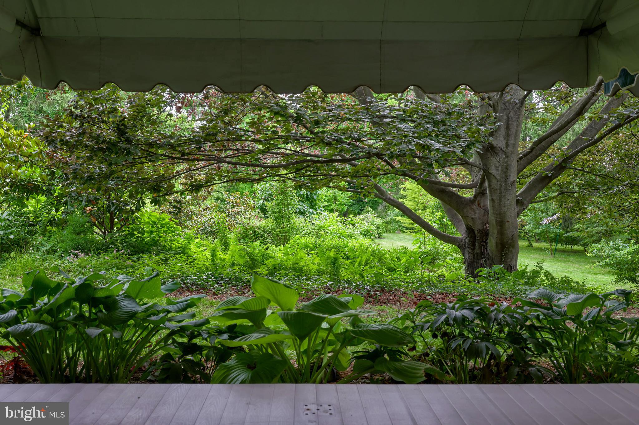 WYNDHAM HILLS - Residential