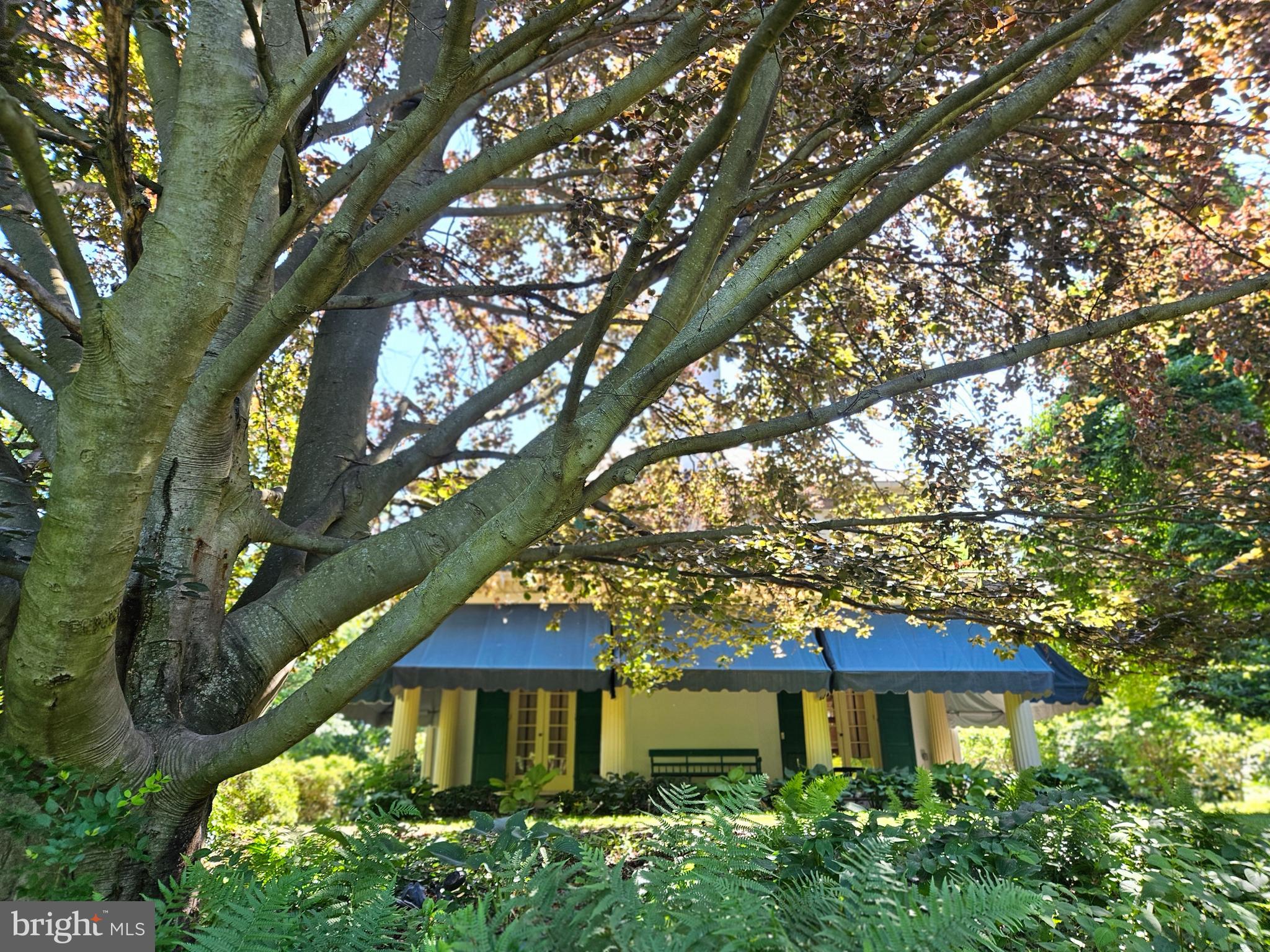 WYNDHAM HILLS - Residential