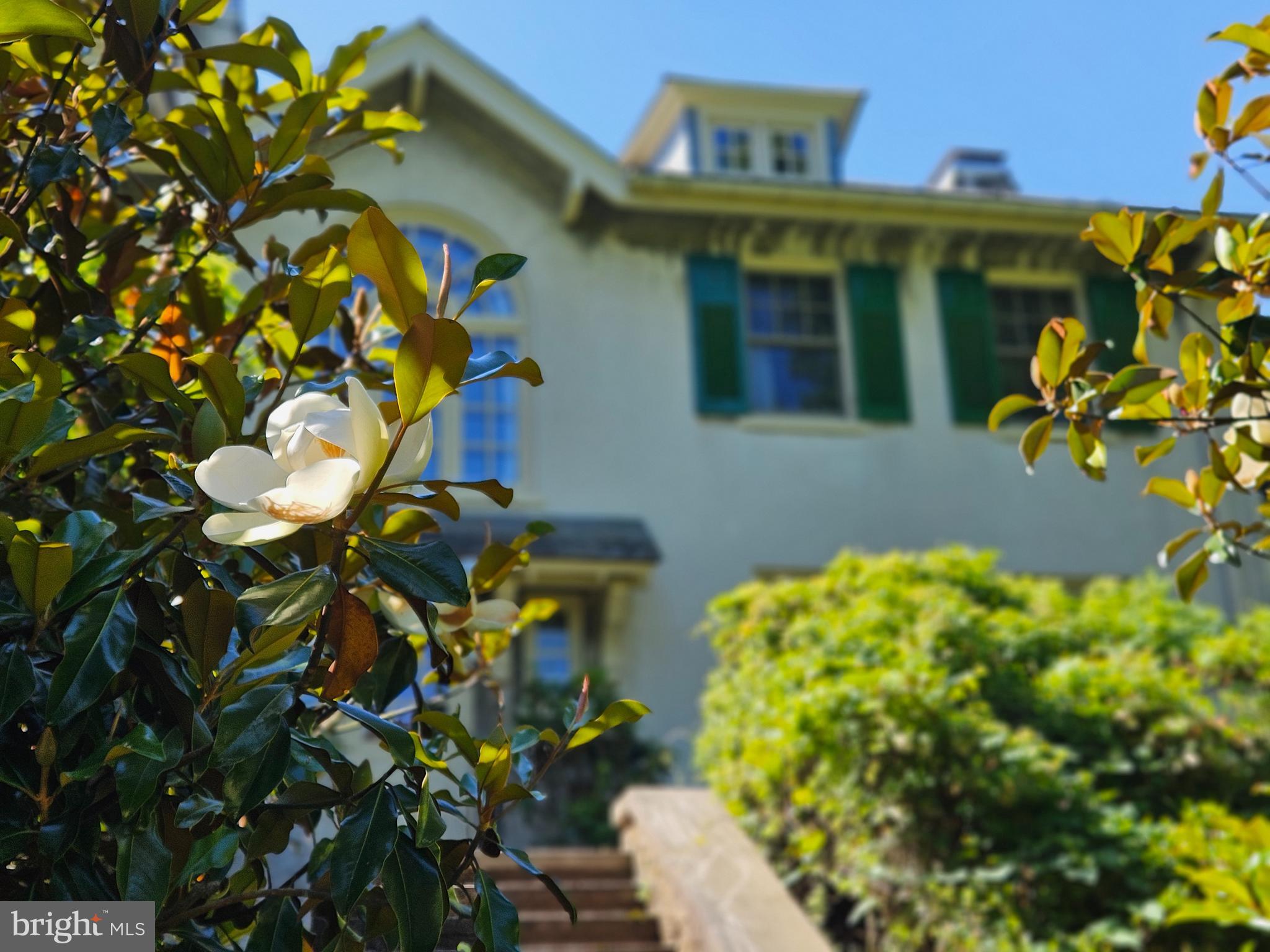 WYNDHAM HILLS - Residential