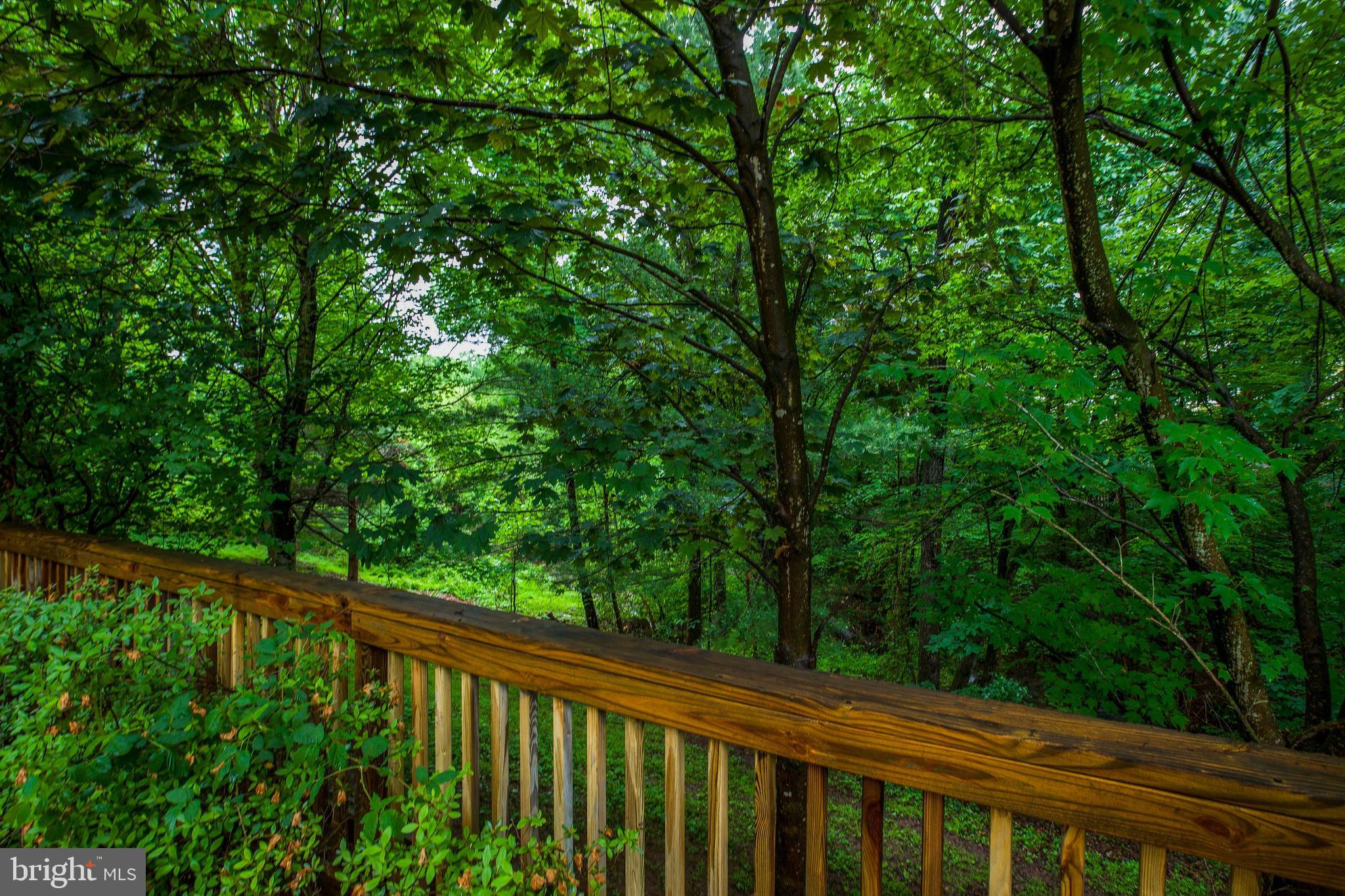 LITTLE ROCKY RUN - Residential