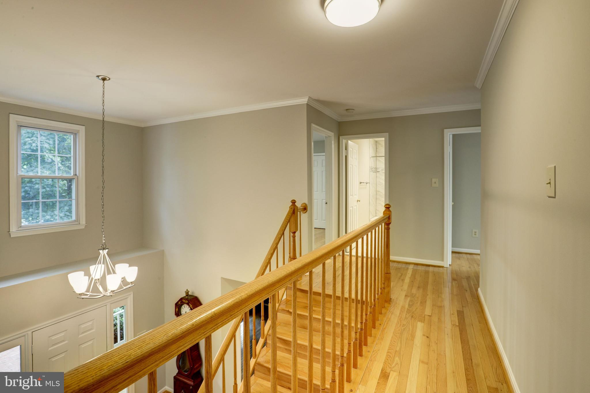 LITTLE ROCKY RUN - Residential