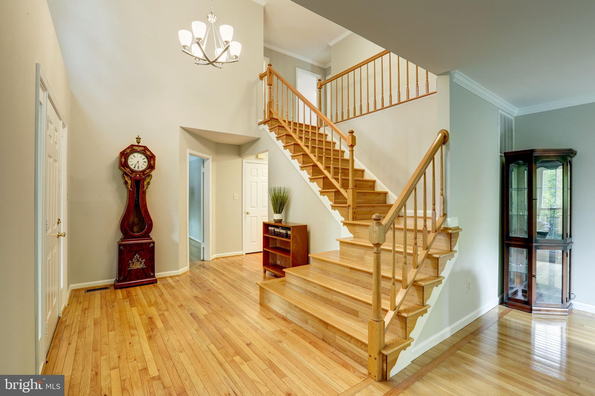 LITTLE ROCKY RUN - Residential