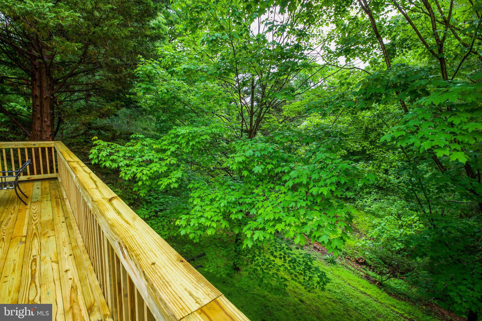 LITTLE ROCKY RUN - Residential