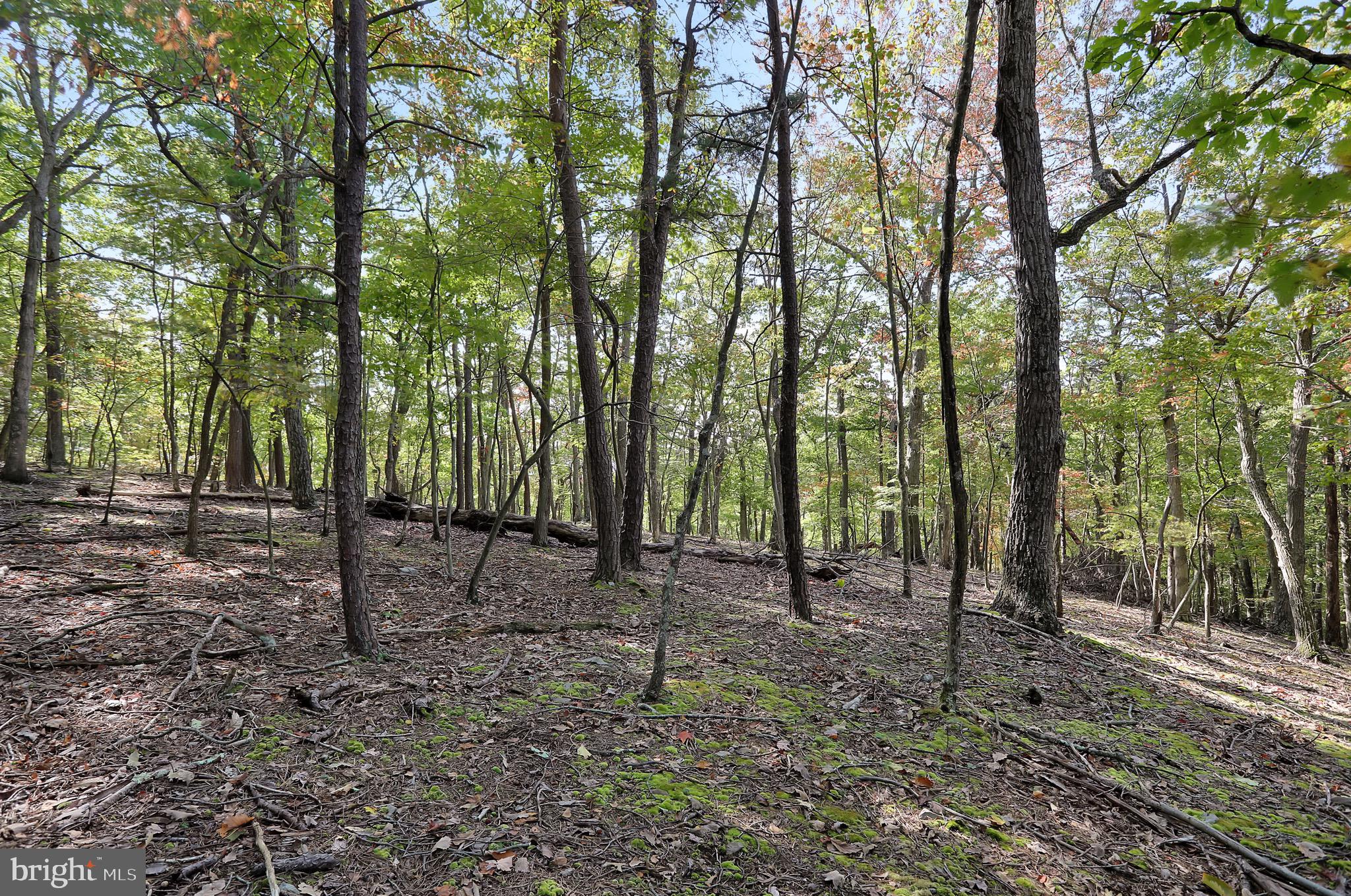 RIVER RIDGE SUBDIVISION - Residential