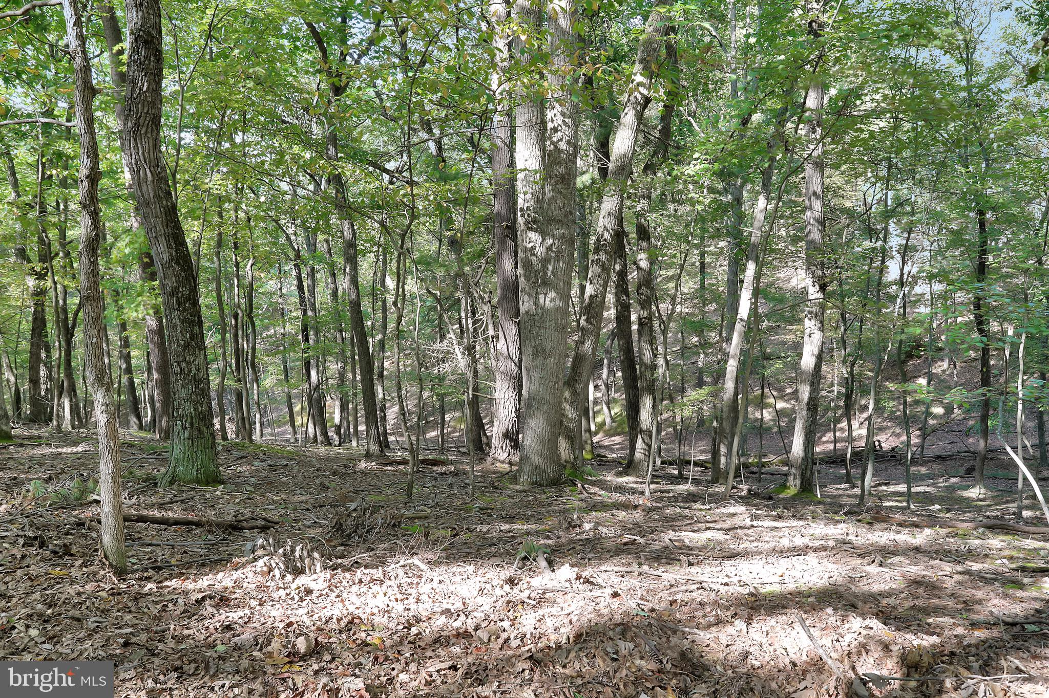 RIVER RIDGE SUBDIVISION - Residential