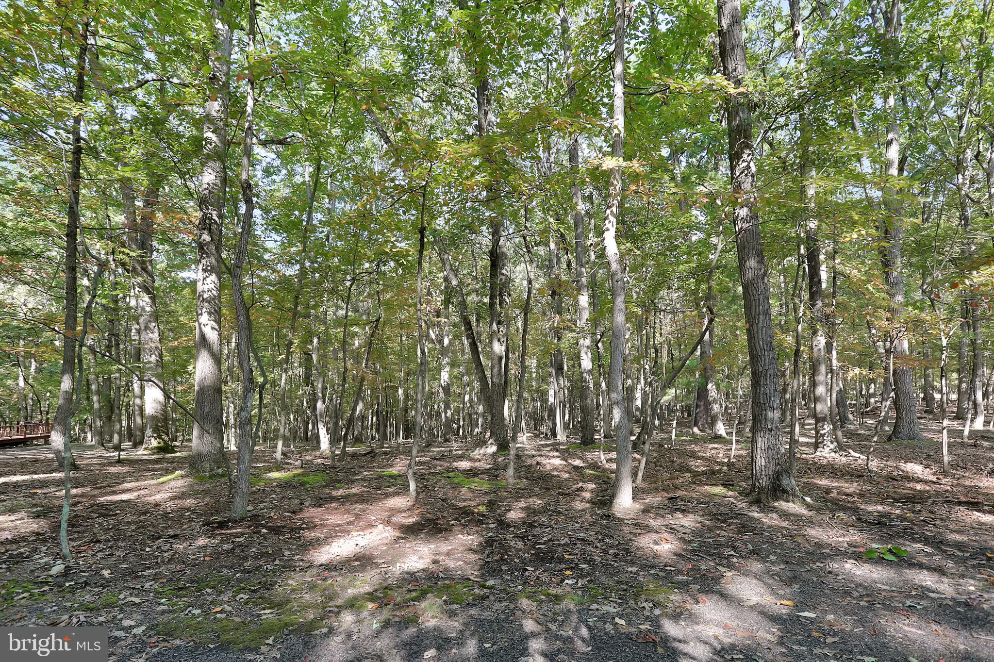 RIVER RIDGE SUBDIVISION - Residential