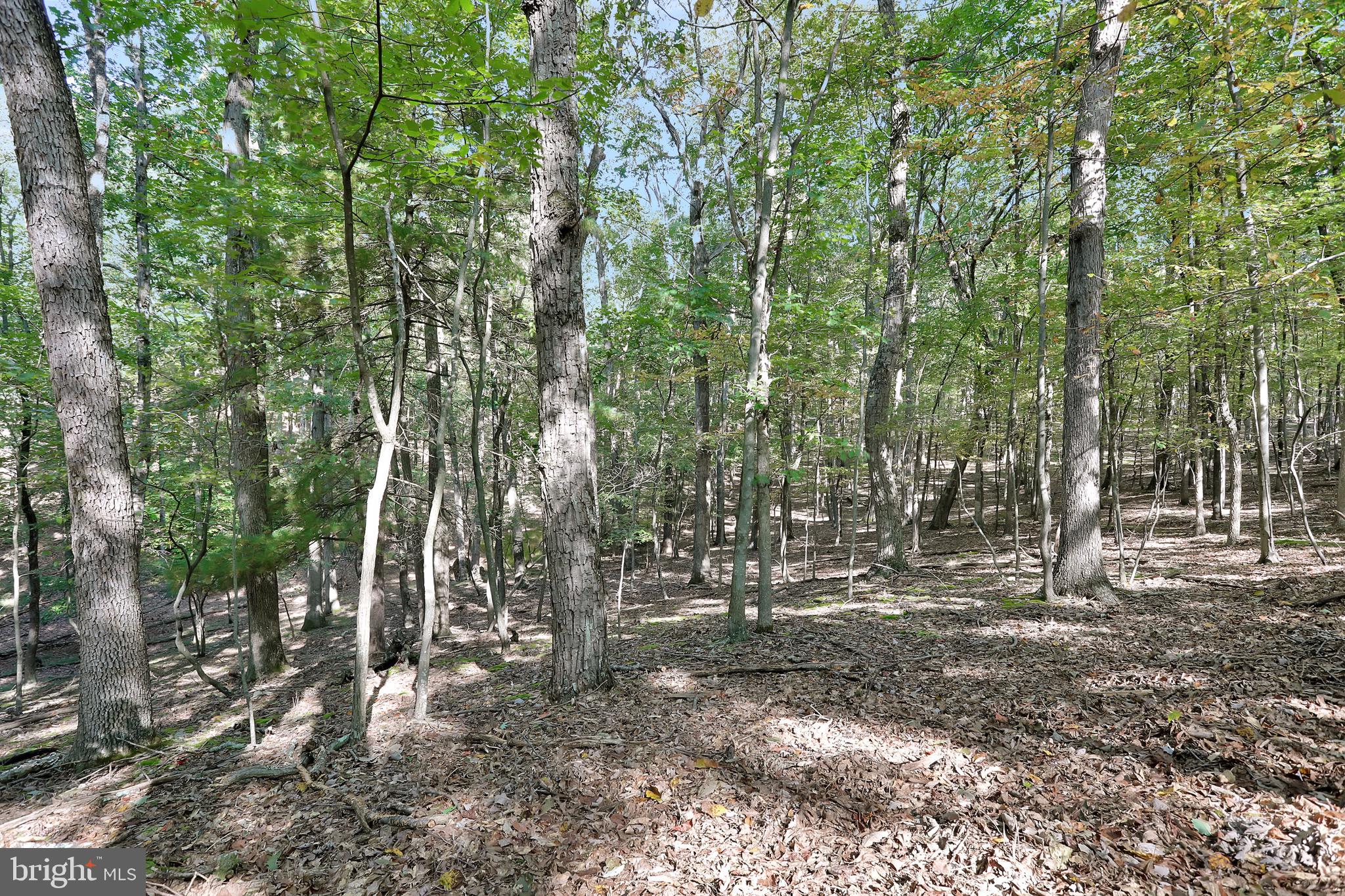 RIVER RIDGE SUBDIVISION - Residential