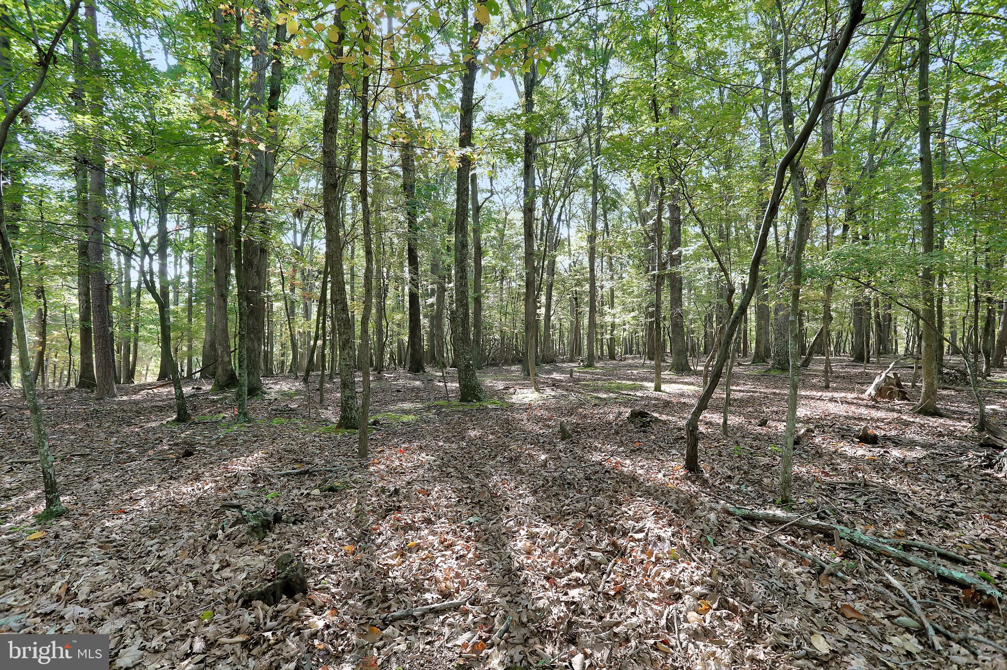 RIVER RIDGE SUBDIVISION - Residential