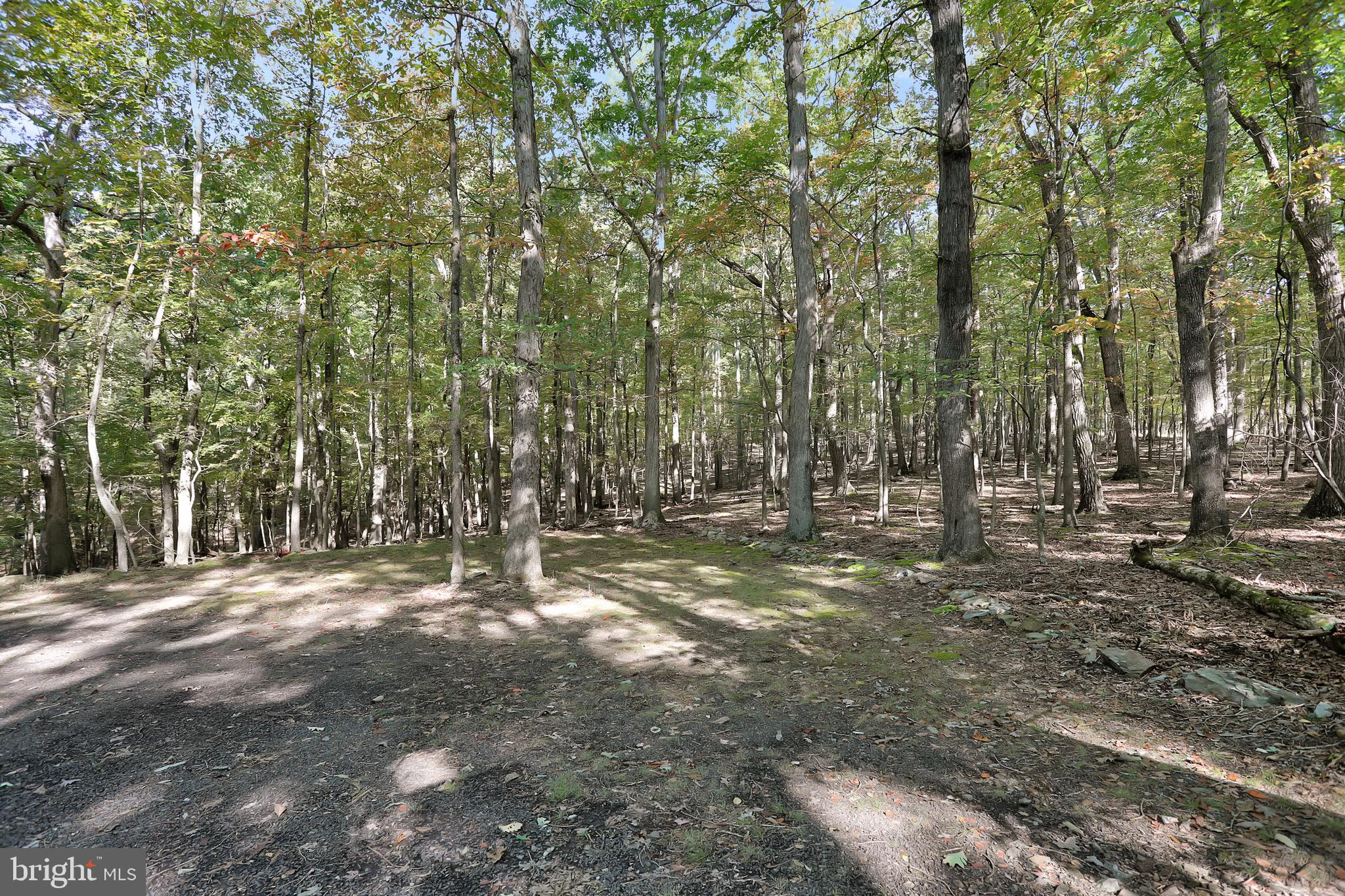 RIVER RIDGE SUBDIVISION - Residential