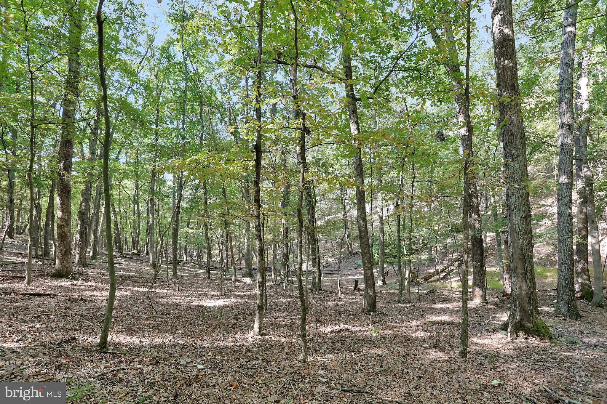 RIVER RIDGE SUBDIVISION - Residential